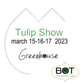 Tulip Show 2023